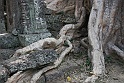 IMG_4404