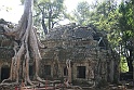 IMG_4421
