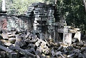 IMG_4423