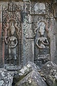 IMG_4440