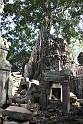 IMG_4450