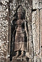 IMG_4499