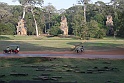IMG_4549