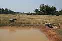IMG_4584