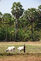 IMG_4601