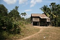 IMG_4620