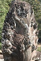 IMG_4717