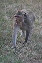 IMG_4791