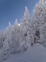 DSC02527