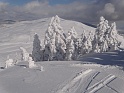DSC02552