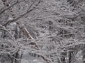 DSC02590