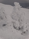 DSC02602