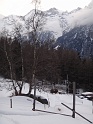 DSC02984