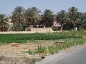 DSC03433