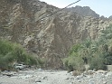 DSC03453