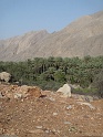 DSC03471