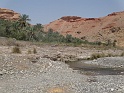 DSC03529
