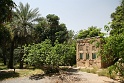 IMG_5086