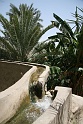 IMG_5112
