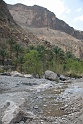 IMG_5173