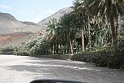 IMG_5213