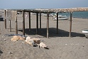 IMG_5294