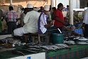 IMG_5470