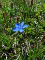 DSC05548