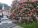 DSC06165