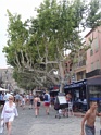 DSC06698