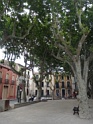 DSC06750