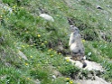 DSC06399