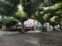 DSC07106