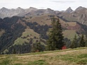 DSC08131