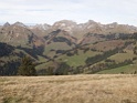 DSC08143
