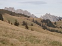 DSC08169