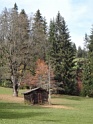 DSC08186