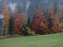 DSC08191