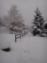 DSC08420