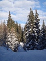 DSC09030