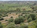 DSC09873