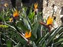 DSC10037