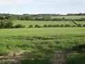 DSC00477