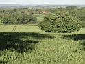 DSC00480