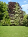 DSC00488