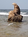 DSC01053
