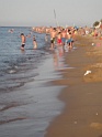 DSC01100