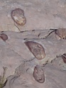 DSC02333