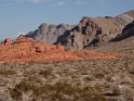 DSC02337