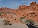 DSC02340